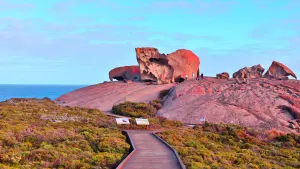 Kangaroo Island Experience